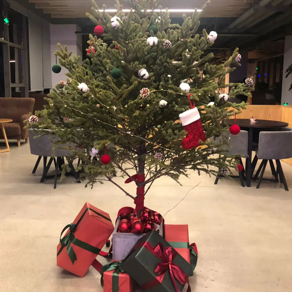 Holiday Knitted Alphabet Socks